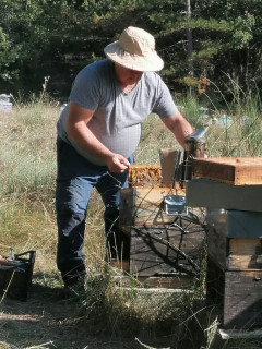 Visite d'une colonie