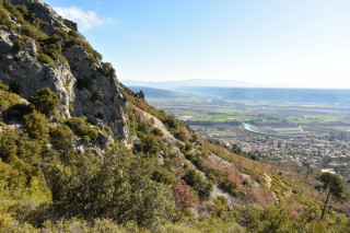 Sortie buissonnière 