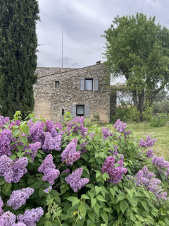 9abf9d56f84ddcedcf70.jpeg 9abf9d56f84ddcedcf70.jpeg