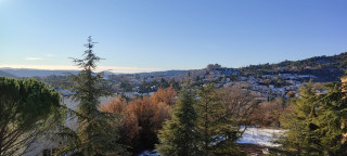 Chênes Blancs B23_Gréoux-les-Bains Chênes Blancs B23_Gréoux-les-Bains