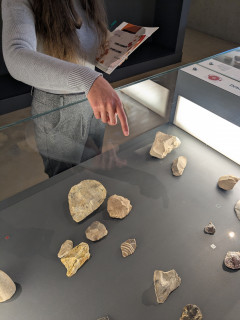 Visite ludique : Si j'étais un Préhisto_Quinson