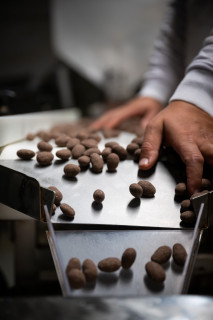 Visite d'usine Doucet_Oraison