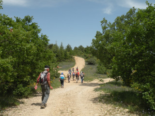 Sortie buissonnière 