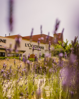 L'Occitane L'Occitane
