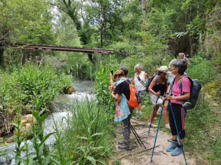 La passerelle, une oasis de fraicheur