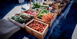 article-legume-428279