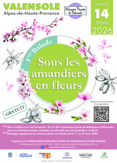 sous-les-amandiers-en-fleurs-494191