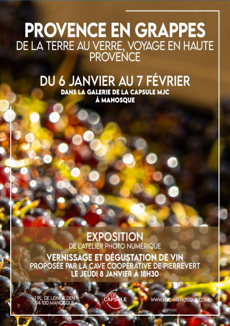 Exposition photo « Provence en grappes »