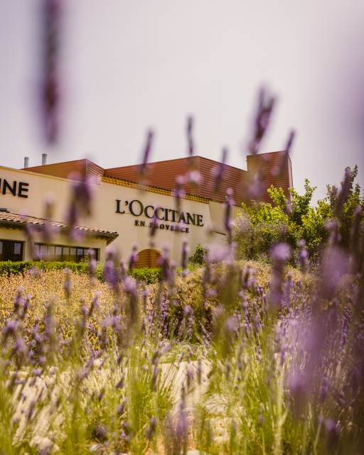 Geführte Tour durch L'Occitane en Provence