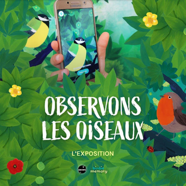 Exposition : observons les oiseaux