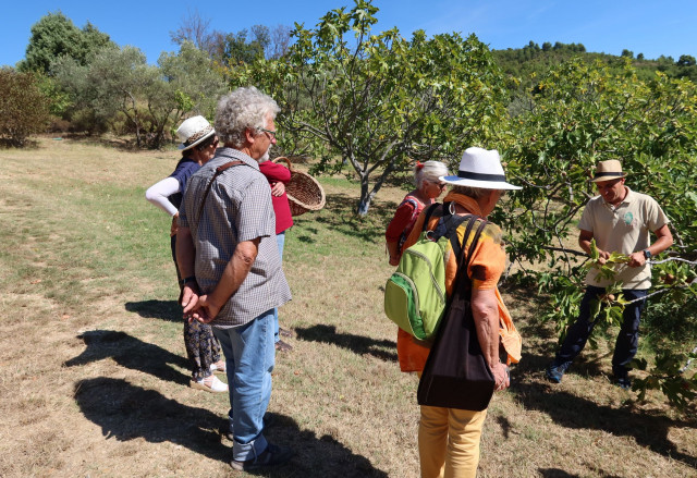 Visite des vergers et jardins de la Thomassine