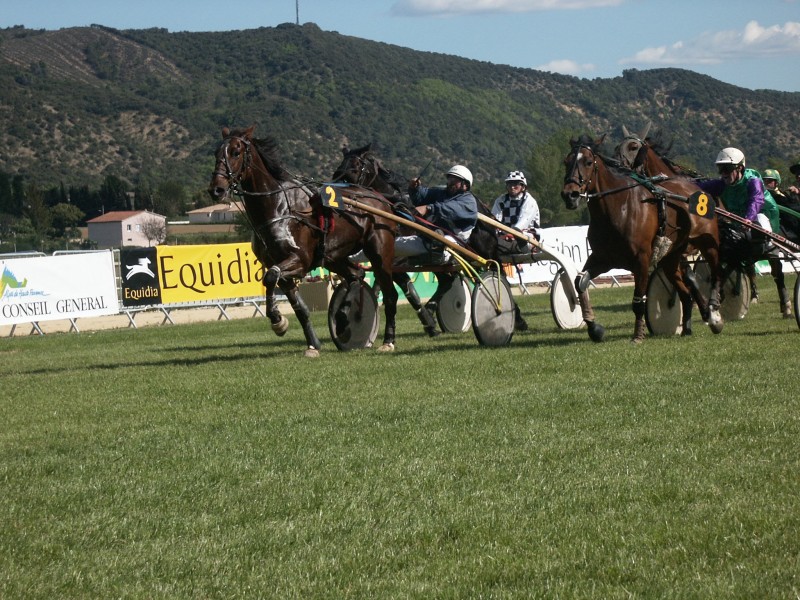 Courses hippiques