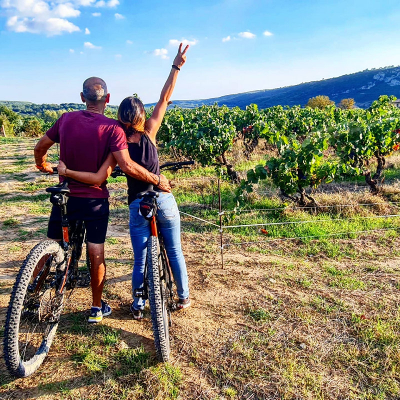 Sortie dans les vignes