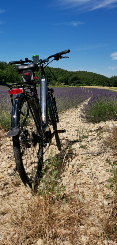 VELOS ELECTRIQUES