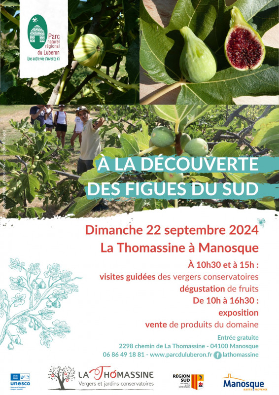 Journée figues