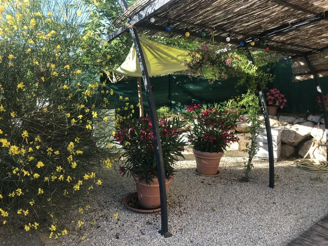 jardinet ombragé 100m²