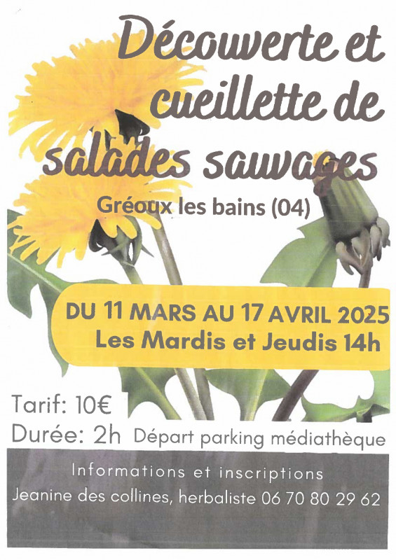 Découverte et cueillette de salades sauvages