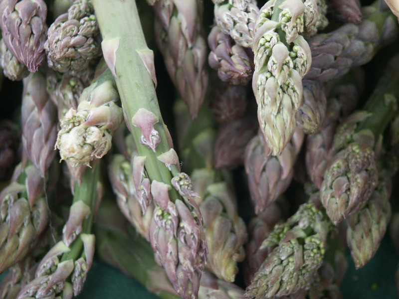 Asperges