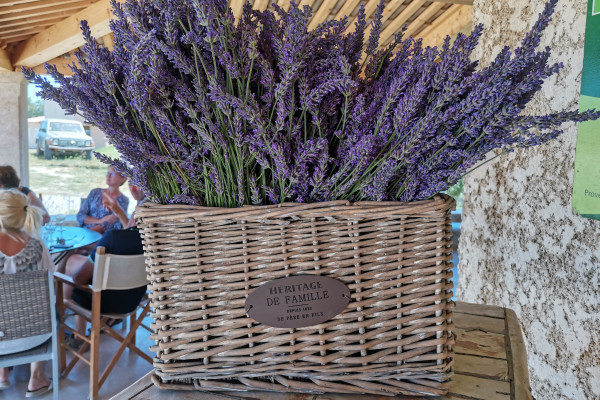 Visit winery and lavender farm