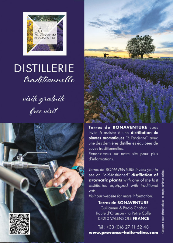Distillerie Traditionnelle