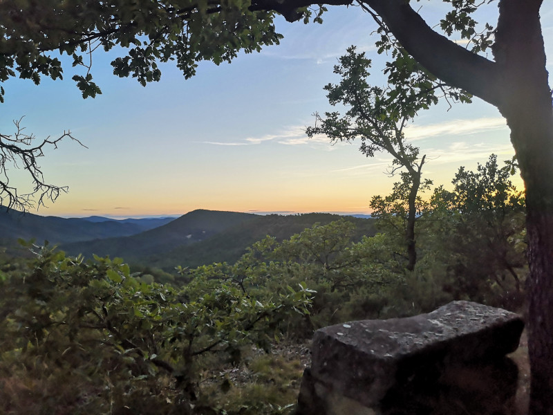 Vue du domaine