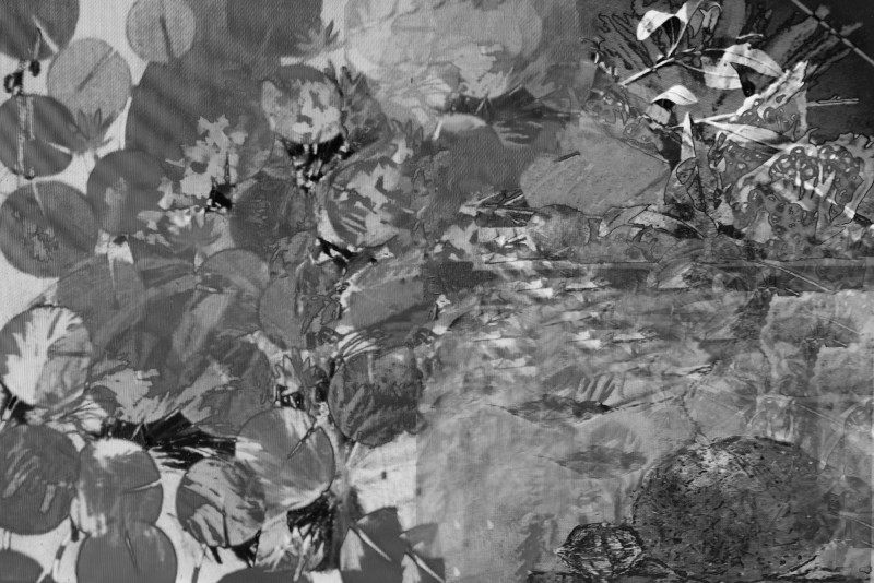 Voici des fruits, des fleurs, des feuilles et des branches