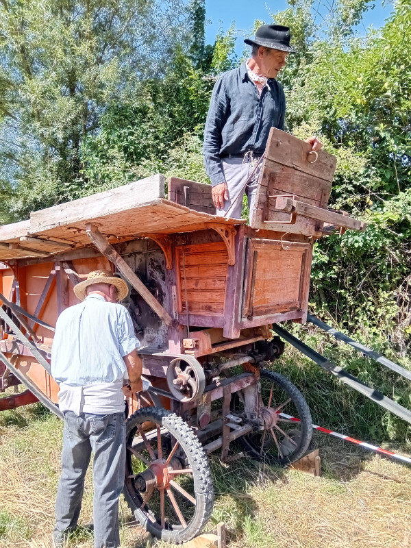 Fête de la moisson d'antan