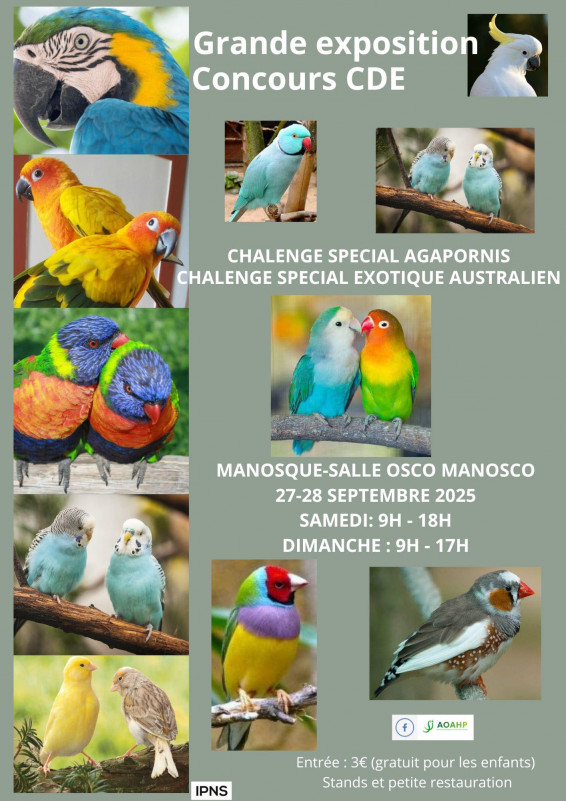 Affiche expo