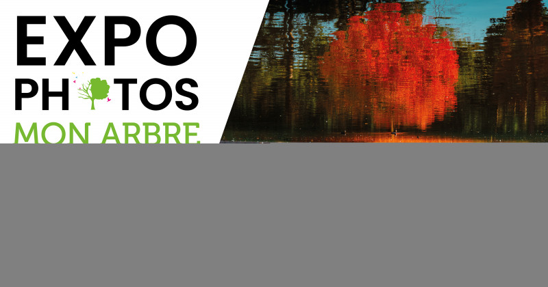 facebook_expomathomassinemanosque.jpg
