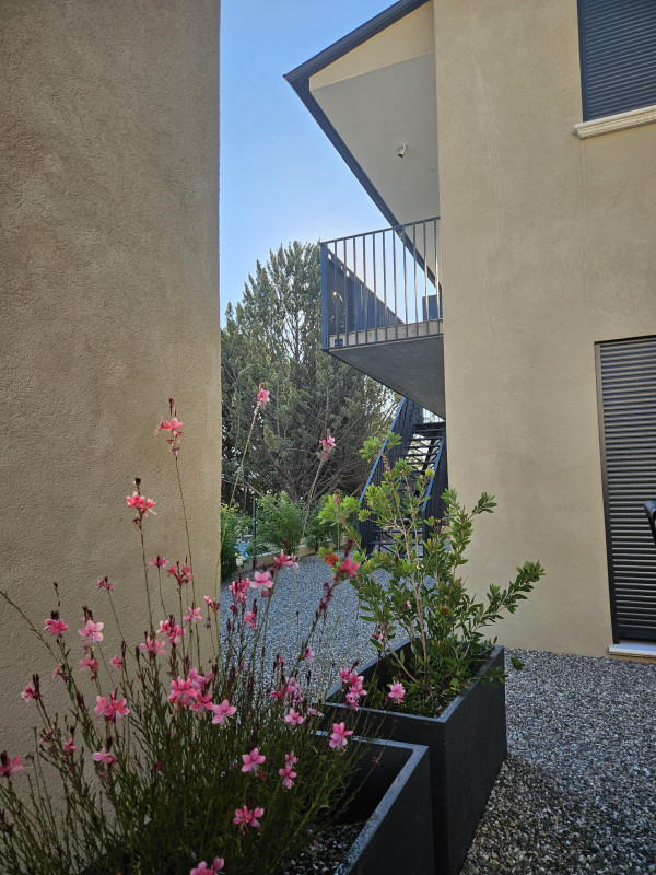 41c401bb3aa532972e1b.jpg