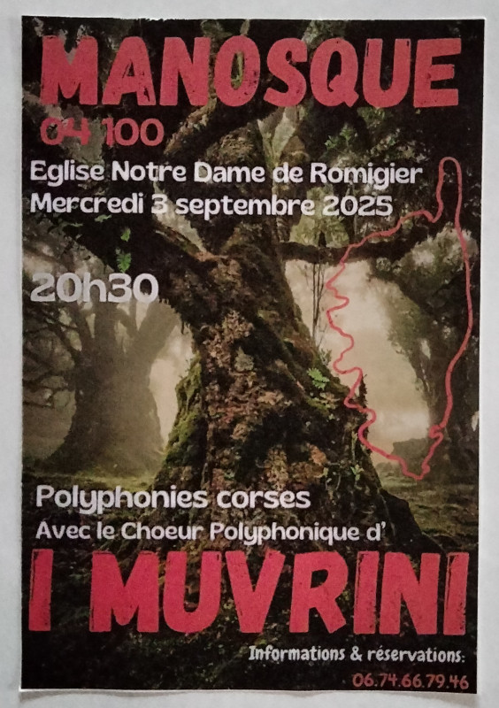 Affiche