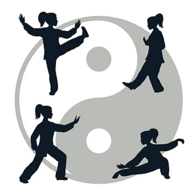 ateliers_qi_gong_tai_chi_allemagne_en_provence.jpg