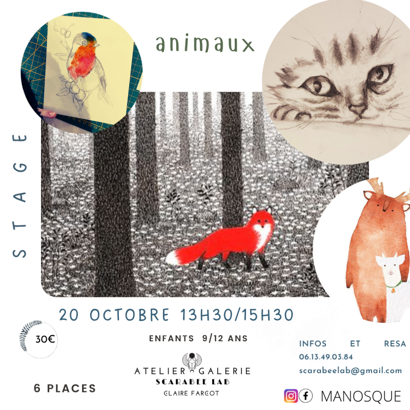 Dessins d'animaux