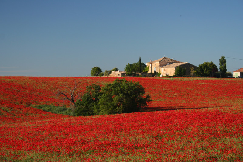 la bastide au printemps