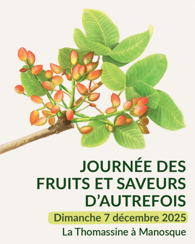 Conférence 