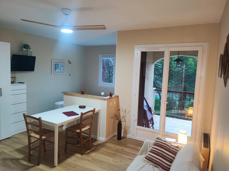 Salon + coin nuit + terrasse