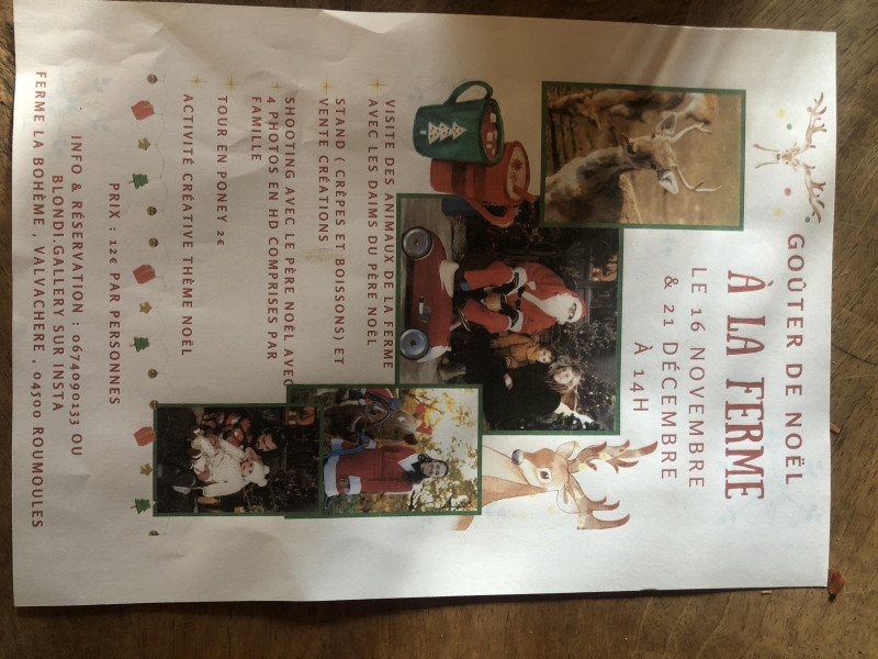 Noël à la ferme - © DR Ferme la bohème Noël à la ferme