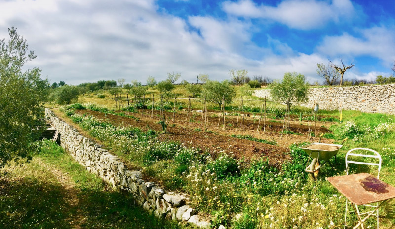 permaculture - © DR-Rosso permaculture