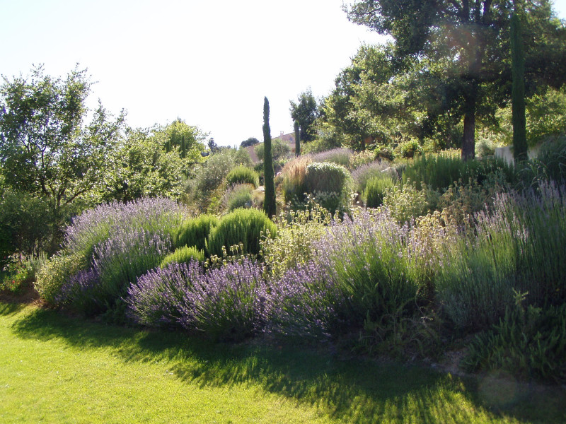 Le Jas des Riayes - © DR Zani Marie-France Le Jas des Riayes