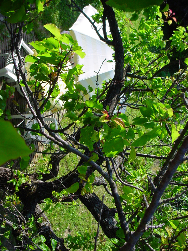 Hours Gonnet - © DR Hours Gonnet Hours Gonnet