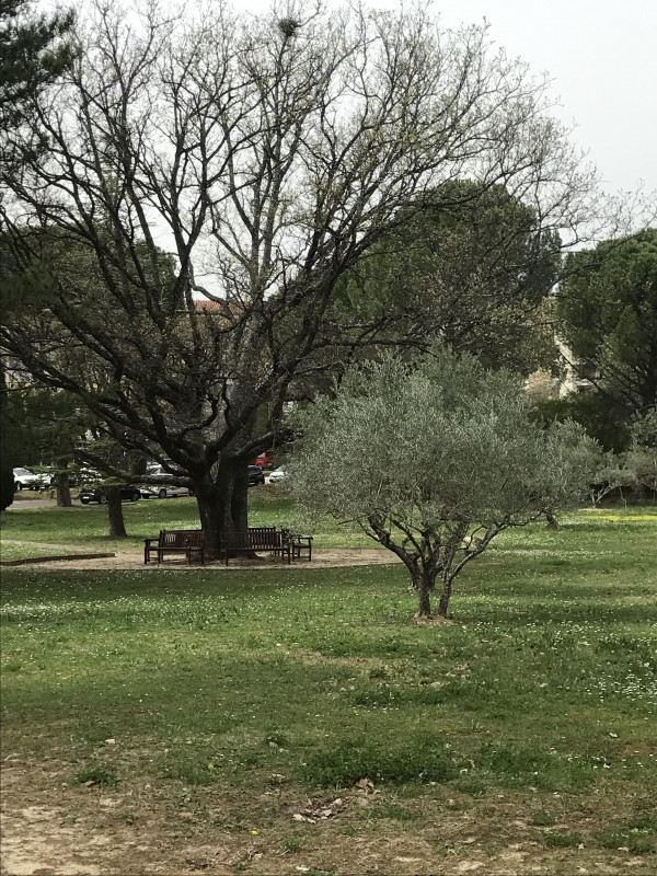 Parc autour de la résidence - © DR Evelyne Clerc Parc autour de la résidence