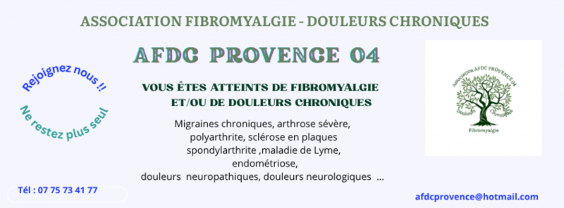 Conférence - © DR AFDC Conférence