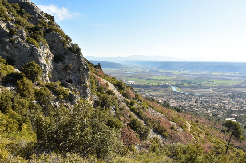 Sortie buissonnière 