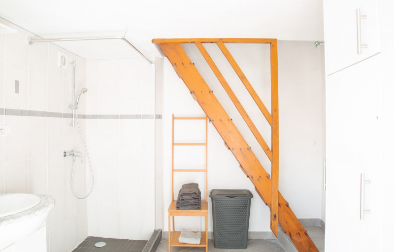 The bathroom shower/la douche de lasse de bain