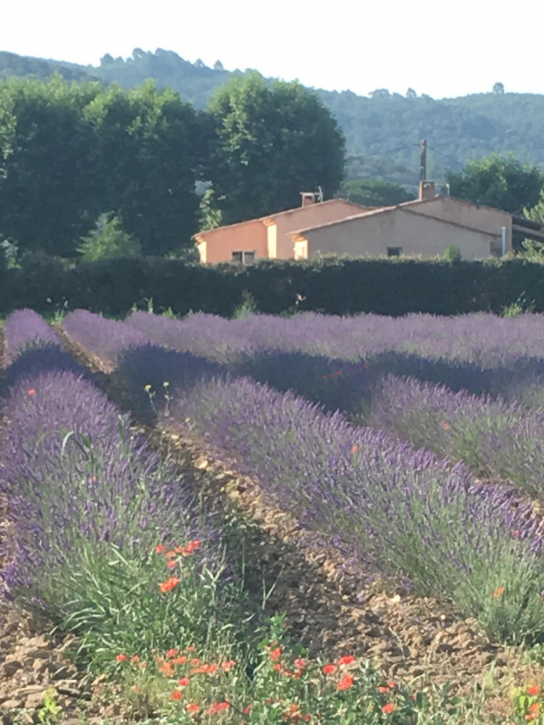 Neviere Jean-Pierre 1 Neviere Jean-Pierre 1