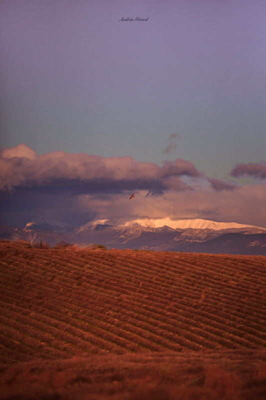 Les expos du château 2025 - le mois de la photo : novembre_Gréoux-les-Bains Les expos du château 2025 - le mois de la photo : novembre_Gréoux-les-Bains