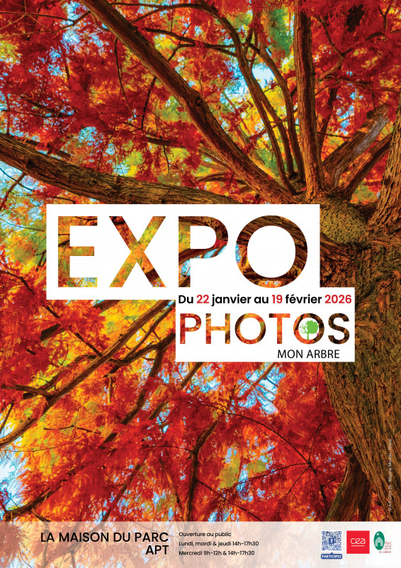Exposition de photos : Mon arbre_Apt
