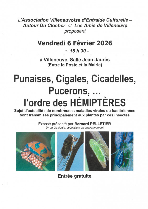 Punaises, cigales, cicadelles, puceron ...._Villeneuve
