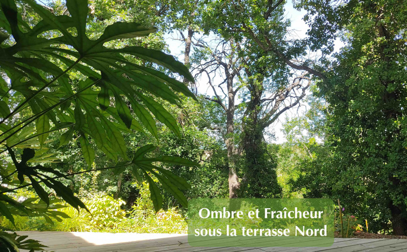 A l'ombre de la terrasse nord. A l'ombre de la terrasse nord.