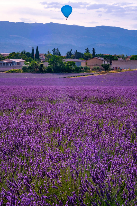Vol en montgolfière Vol en montgolfière